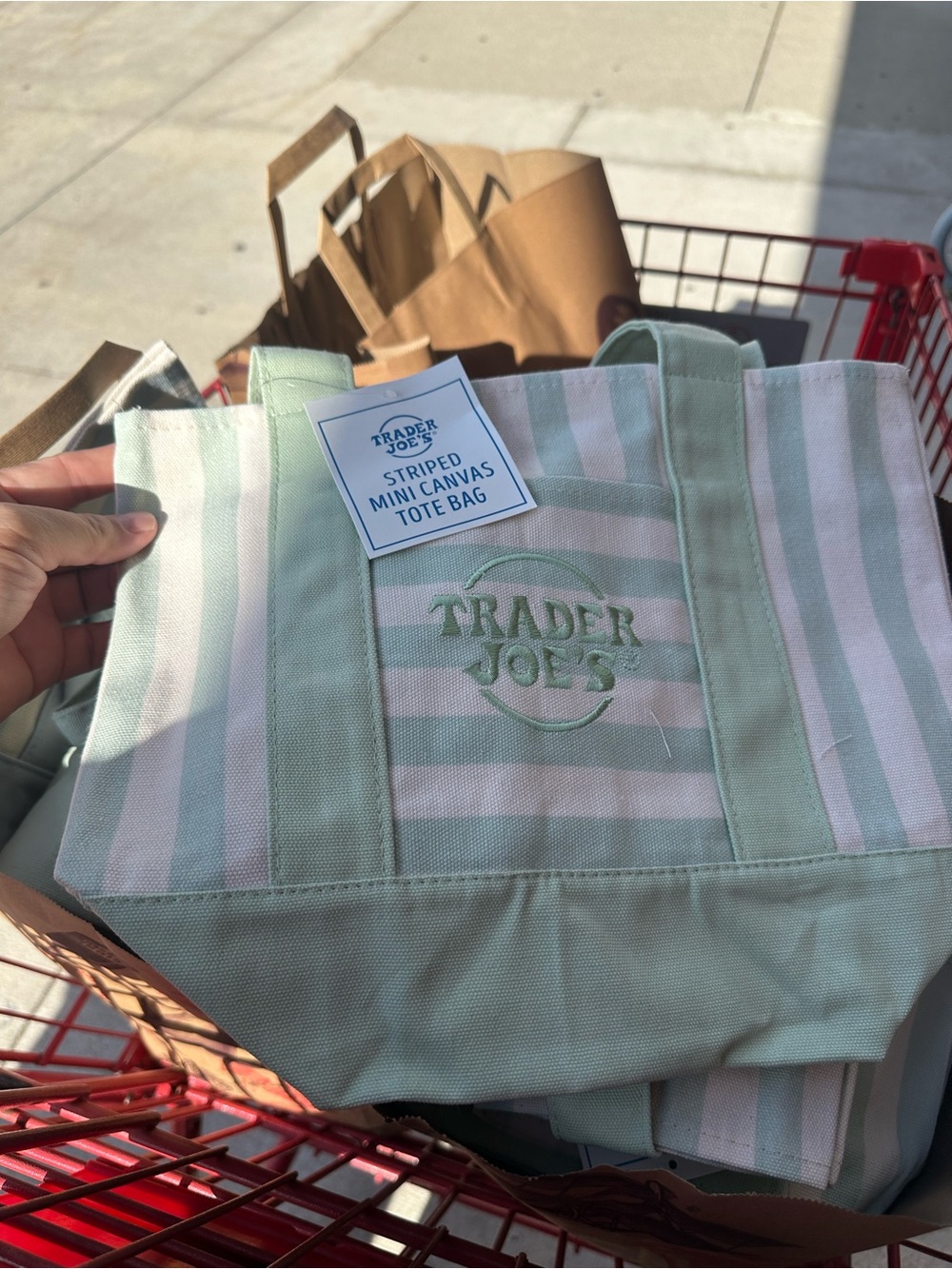 Trader Joe's Mint & Cream Striped Mini Canvas Tote Bag